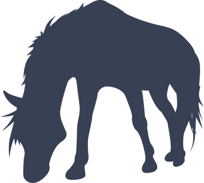 Loved Pet Horse Sticker