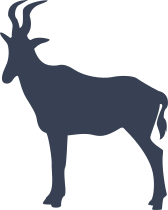 Lovely Antelope Sticker