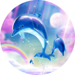 Lovely Breaching Bottlenose Dolphins Upon Fuchsia Sticker