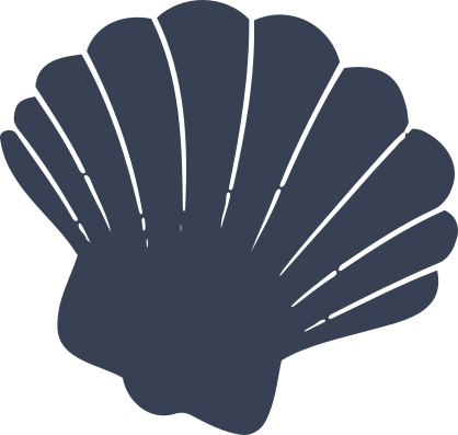 Lovely Clam Seashell Sticker