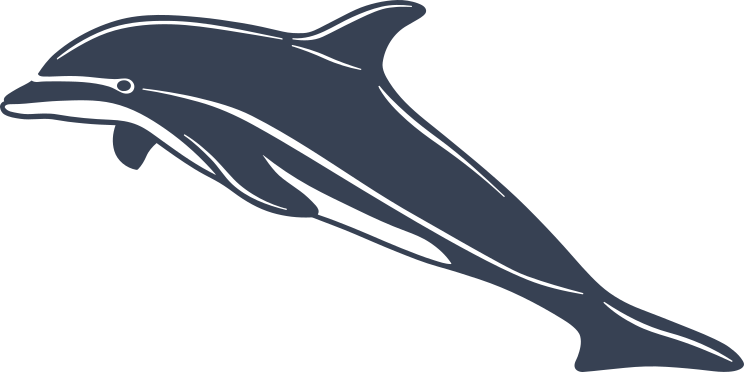 Lovely Detailed Dolphin Sticker