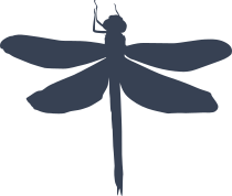 Lovely Dragonfly Sticker
