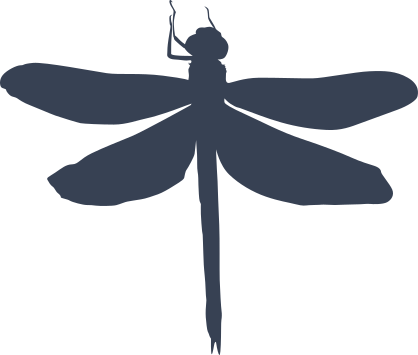 Lovely Dragonfly Sticker