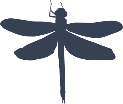 Lovely Dragonfly Sticker