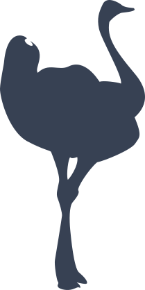 Lovely Ostrich Sticker