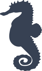 Lovely Seahorse Sticker