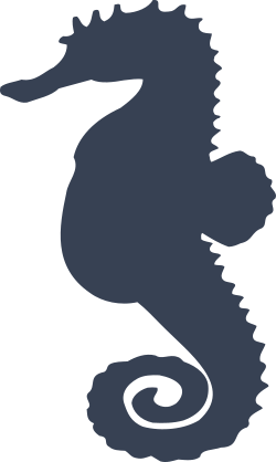 Lovely Seahorse Sticker