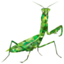 Low Poly Mantis, Praying Mantis Triangles Sticker