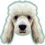 Low Poly Poodle Teal Sticker