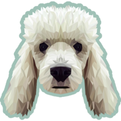 Low Poly Poodle Teal Sticker