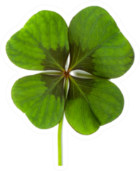 Lucky Clover, Four Leaf Clover Sticker