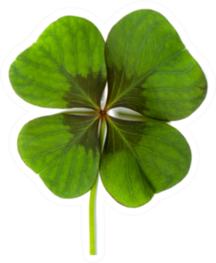 Lucky Clover, Four Leaf Clover Sticker