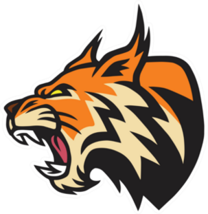 Lynx Bobcat Logo Mascot Sticker