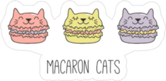 Macaron Cats Sticker