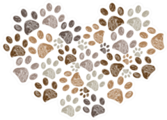 Made Of Heart Doodle Brown Paw Print Sticker