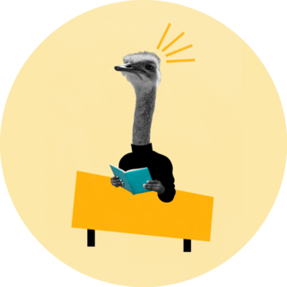 Magazine Funky Ostrich Sticker 