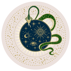 Magic Celestial Snake Sticker