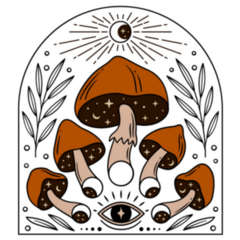 Magic Mushrooms And Moon Phases Esoteric Sticker