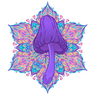 Magic Mushrooms Mandala Sticker