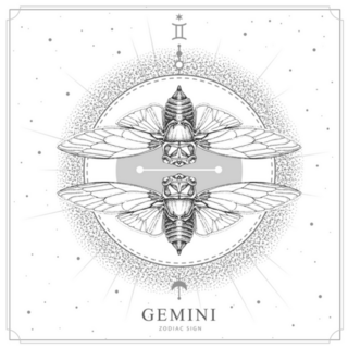 Magical Gemini Astrology Card Hand Drawn Cicada Sticker