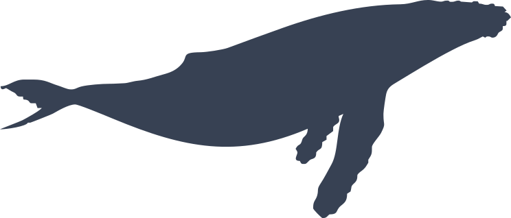 Magnificent Whale Sticker