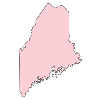 Maine Usa State Pink Sticker