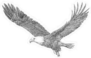 Majestic Eagle Sticker