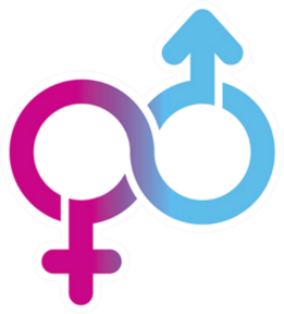 Male And Female Limitless Symbol Sticker