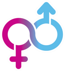 Male And Female Limitless Symbol Sticker