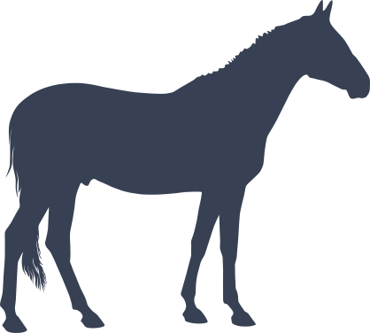 Male Horse Sticker