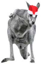 Male Kangaroo In Christmas Hat Sticker