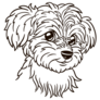 Maltese Animal Sticker