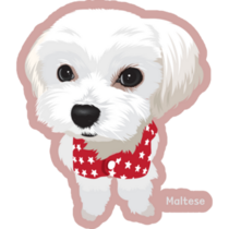 Maltese Art Sticker