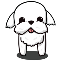 Maltese Beard Sticker