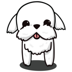 Maltese Beard Sticker