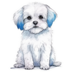 Maltese Blue Hair Sticker