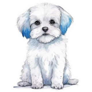 Maltese Blue Hair Sticker