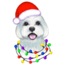 Maltese Christmas Sticker