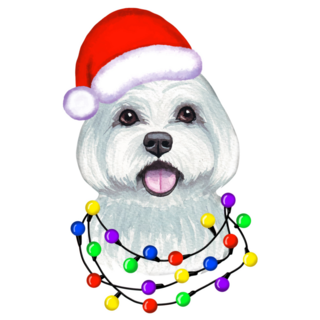 Maltese Christmas Sticker