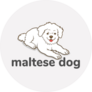Maltese Dog Icon Sticker