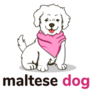 Maltese Dog Pink Sticker