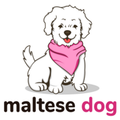 Maltese Dog Pink Sticker