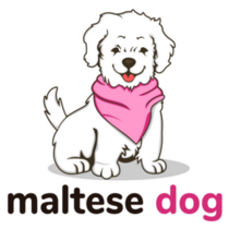 Maltese Dog Pink Sticker