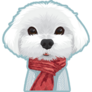 Maltese Dog Portrait Sticker