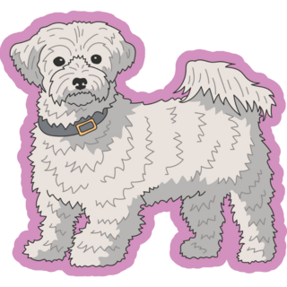 Maltese Dog Purple Sticker