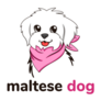 Maltese Dog Sticker