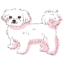 Maltese Drawing Sticker