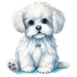 Maltese Illustrated Sticker