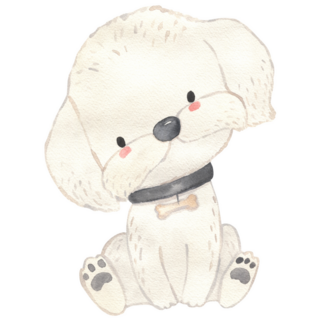 Maltese Illustration Sticker