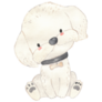 Maltese Illustration Sticker